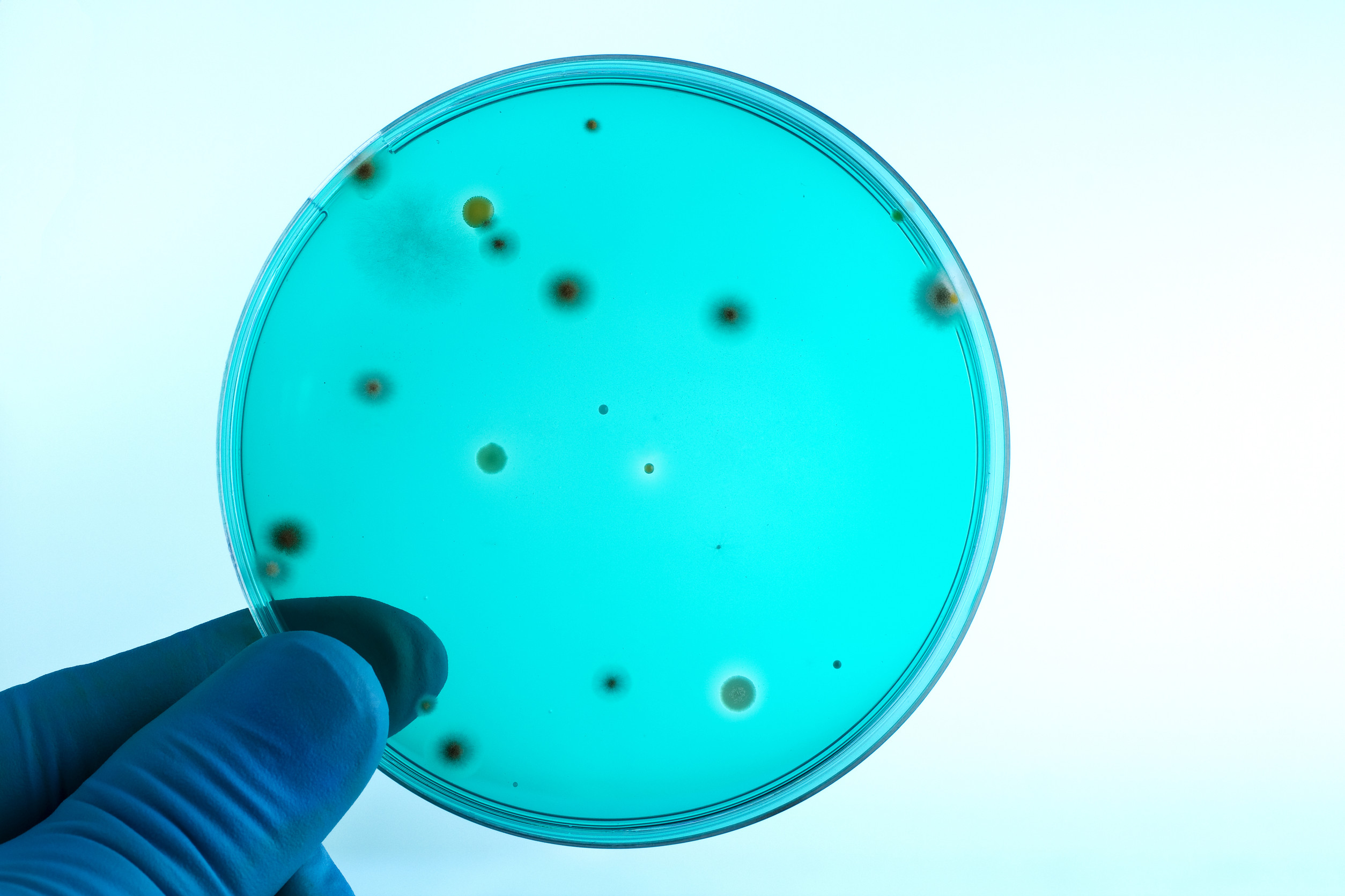 scary facts about listeria