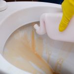 things you should never flush