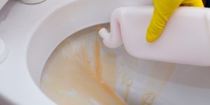 things you should never flush