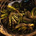 Understanding 'Best Before' Dates: 13 Ways They Can Influence Your Grocery Shopping (And How Not to Be Rushed)