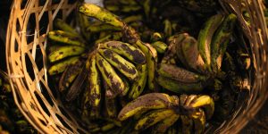 Understanding 'Best Before' Dates: 13 Ways They Can Influence Your Grocery Shopping (And How Not to Be Rushed)