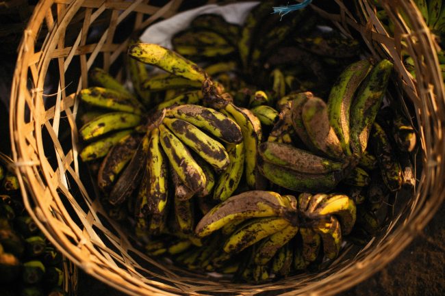 Understanding 'Best Before' Dates: 13 Ways They Can Influence Your Grocery Shopping (And How Not to Be Rushed)