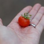 8 Grocery Staples That Are Quietly Shrinking in Size