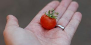 8 Grocery Staples That Are Quietly Shrinking in Size