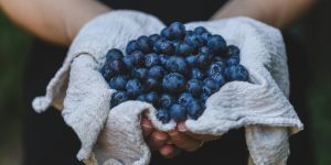 6 Ways to Tell Your Blueberries Are Already Going Bad