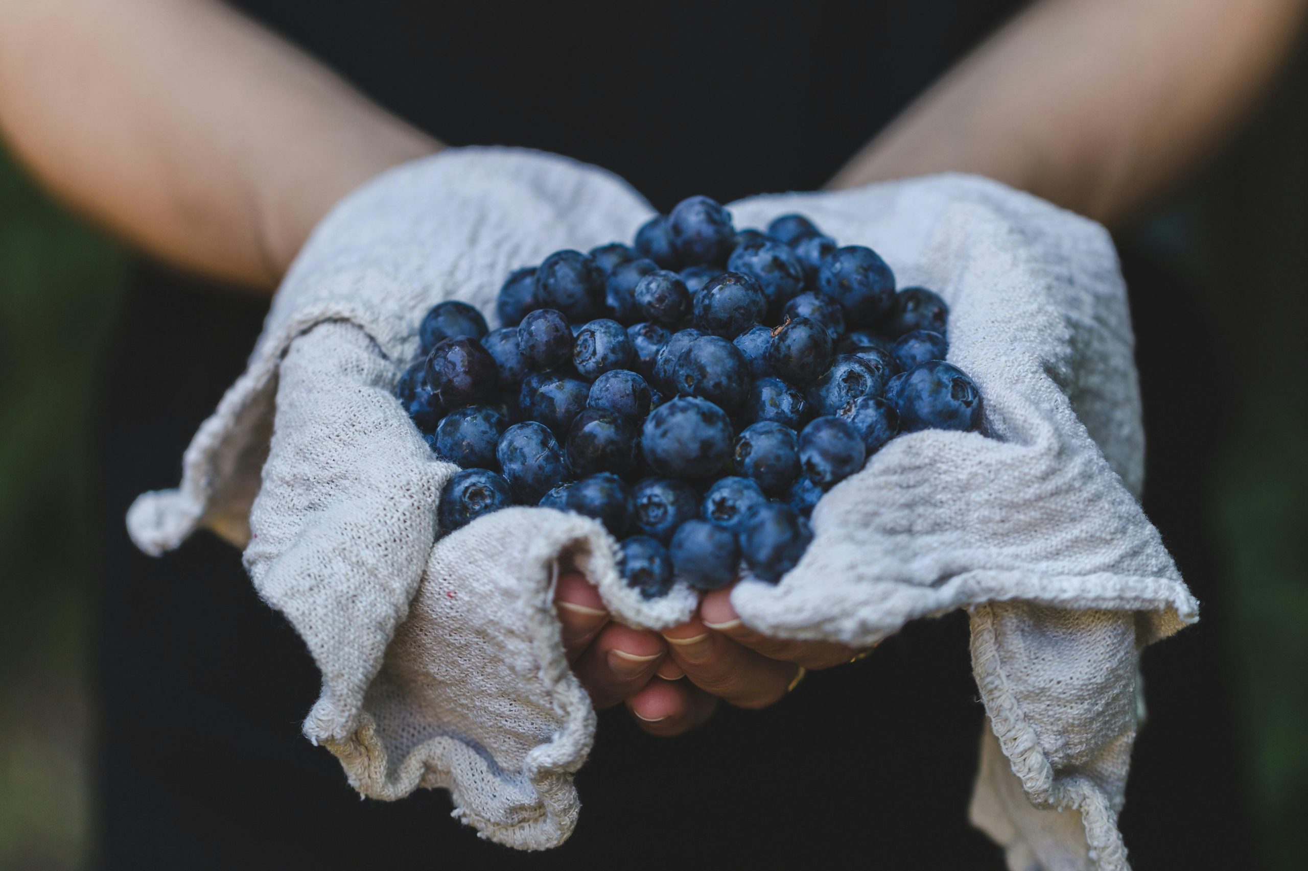 6 Ways to Tell Your Blueberries Are Already Going Bad