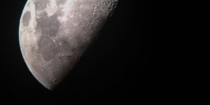 Beyond Bargains: The Dark Side of Loyalty Programs