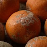 15 Ways Shoppers Might Encounter Expired or Near-Expired Food (And How to Check)