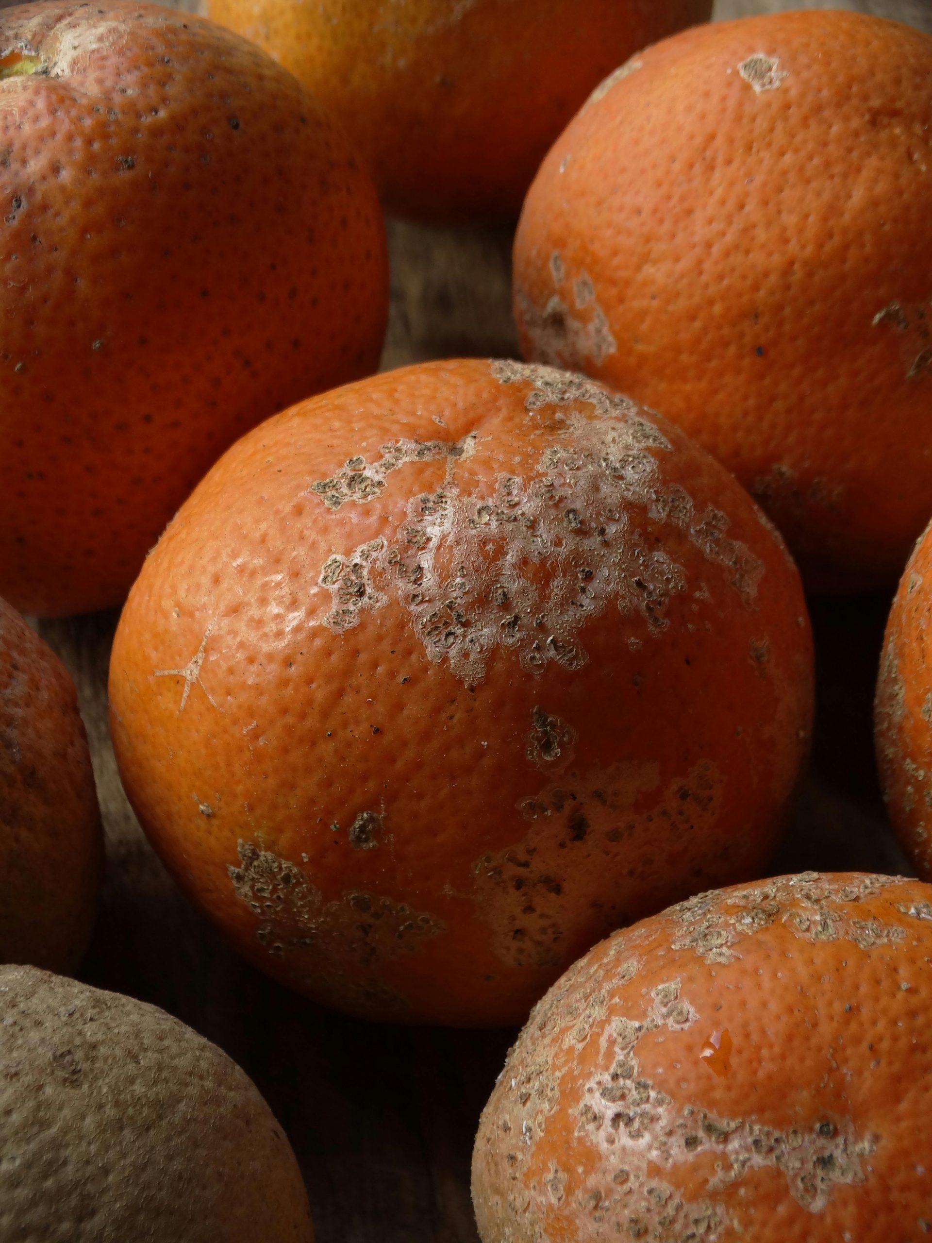 15 Ways Shoppers Might Encounter Expired or Near-Expired Food (And How to Check)