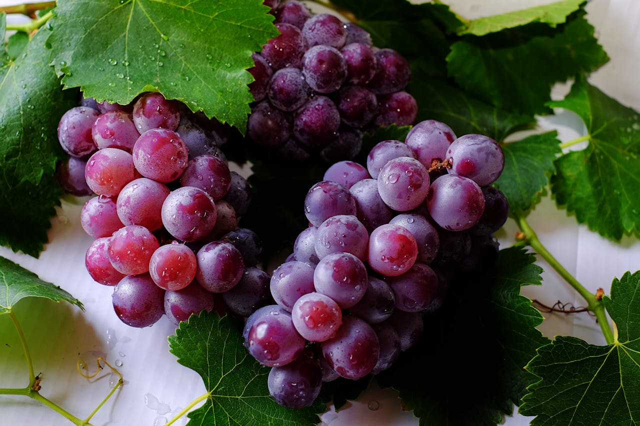 fruit