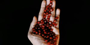 12 Fruits That Are Most Often Overpriced Per Ounce
