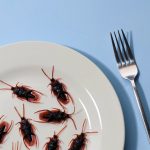 dining experience