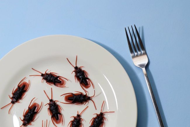 dining experience