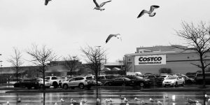 8 Costco Membership Perks That Aren’t Worth the Annual Fee (For Some People)
