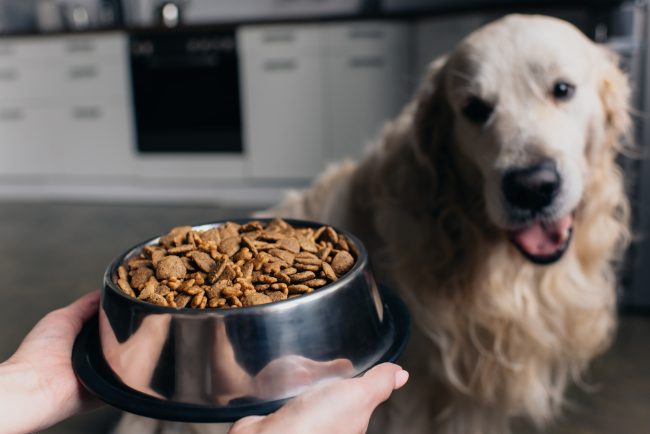 banned pet food