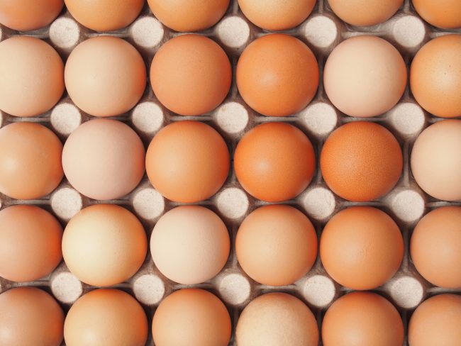 egg prices