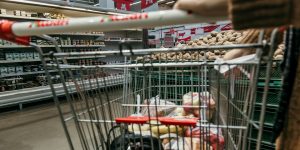 grocery