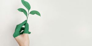 7 Brands Using ‘Eco-Friendly’ Labels That Mean Nothing