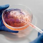 5 Types of Food Safety Issues the FDA Routinely Monitors