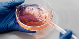 5 Types of Food Safety Issues the FDA Routinely Monitors