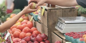 grocery