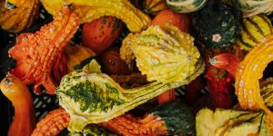 8 Discounts at New Jersey Grocery Stores You Have to Ask For—They Won’t Advertise Them