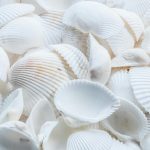7 Frozen Items That Should Never Be Thawed and Re-Frozen