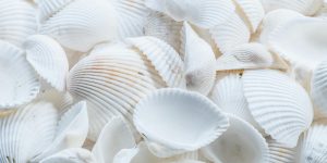 7 Frozen Items That Should Never Be Thawed and Re-Frozen
