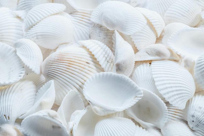 7 Frozen Items That Should Never Be Thawed and Re-Frozen