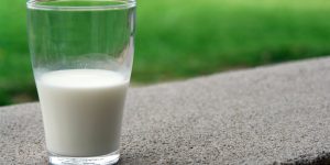 milk