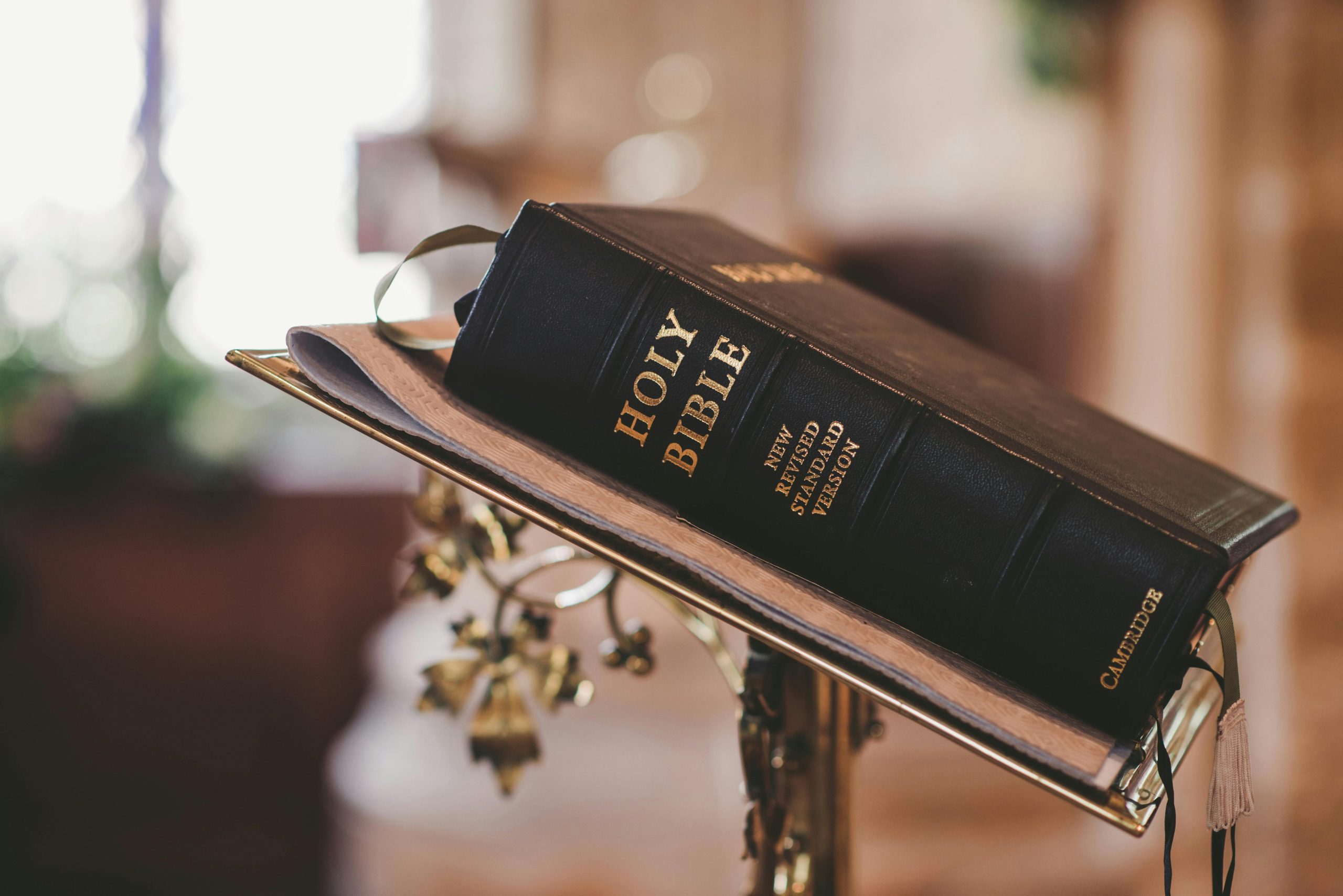 5. The Gideon Bible