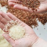 10 Cheap Pantry Items That Can Last a Decade or More