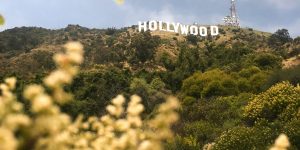 6 Foods That Are Surprisingly Illegal to Buy in California