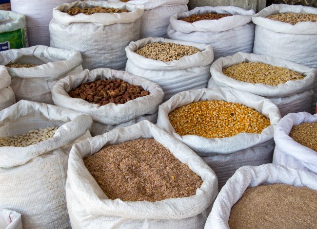 storing food in bulk