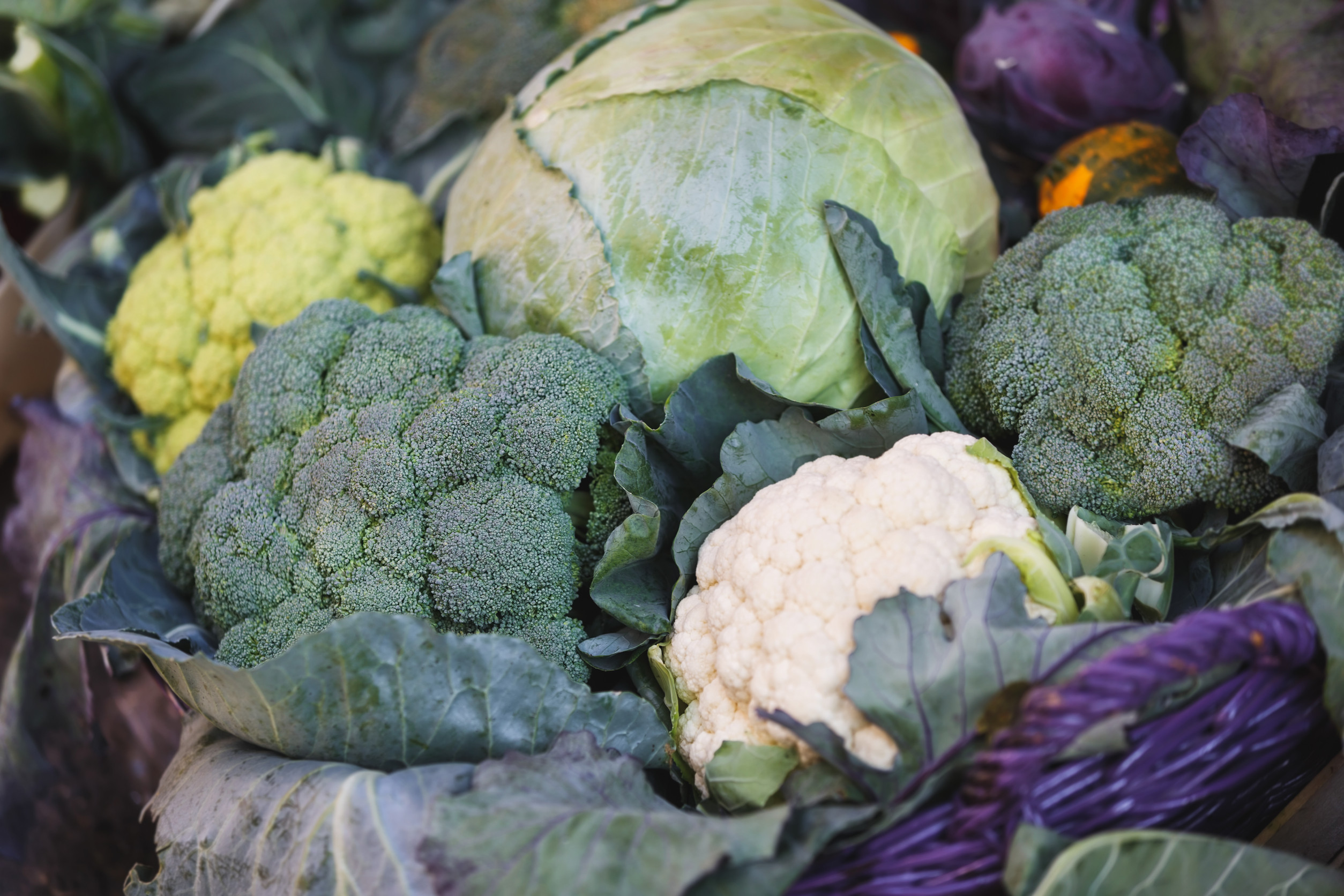 vegetables