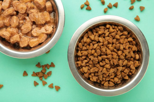 Wet and dry food for dogs and cats in silver bowl on mint background. ingredient mislabeling