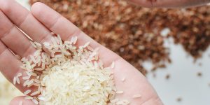 Why Are Some People Hoarding Rice Again?