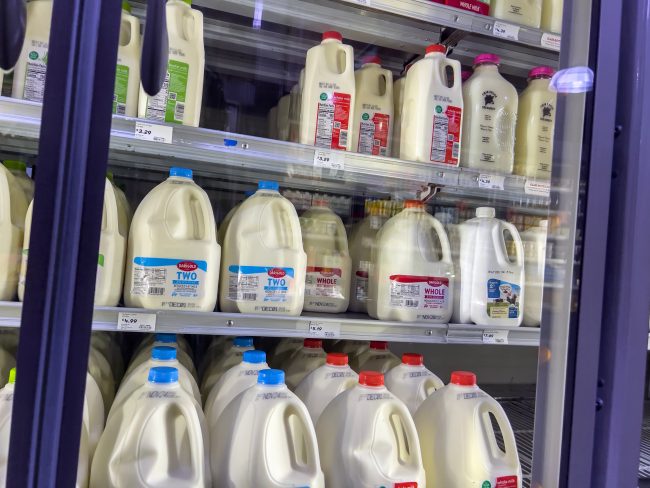 Mill Creek, WA USA – circa November 2022: Wide view of refrigerated milk for sale inside a Town and Country Market. product placement