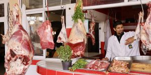 meat