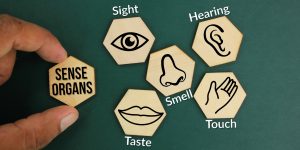 10 “Sensory” Tricks Retailers Use to Push Expensive Brands