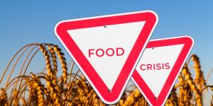 Why Food Deserts Are Re-Emerging in Middle-Class Suburbs