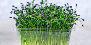 10 Everyday Foods That May Carry Contamination You Didn’t Expect