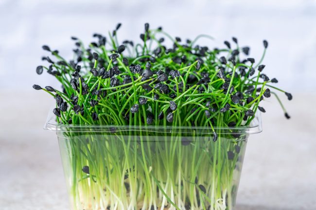 10 Everyday Foods That May Carry Contamination You Didn’t Expect