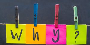 Inflation Fell—So Why Are Grocery Prices Still So High? What the Latest Data Really Means for Shoppers