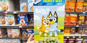 What “Family Size” Really Means Now and Why It’s Getting Smaller