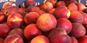 Spring Produce Pricing Varies Across Georgia Markets