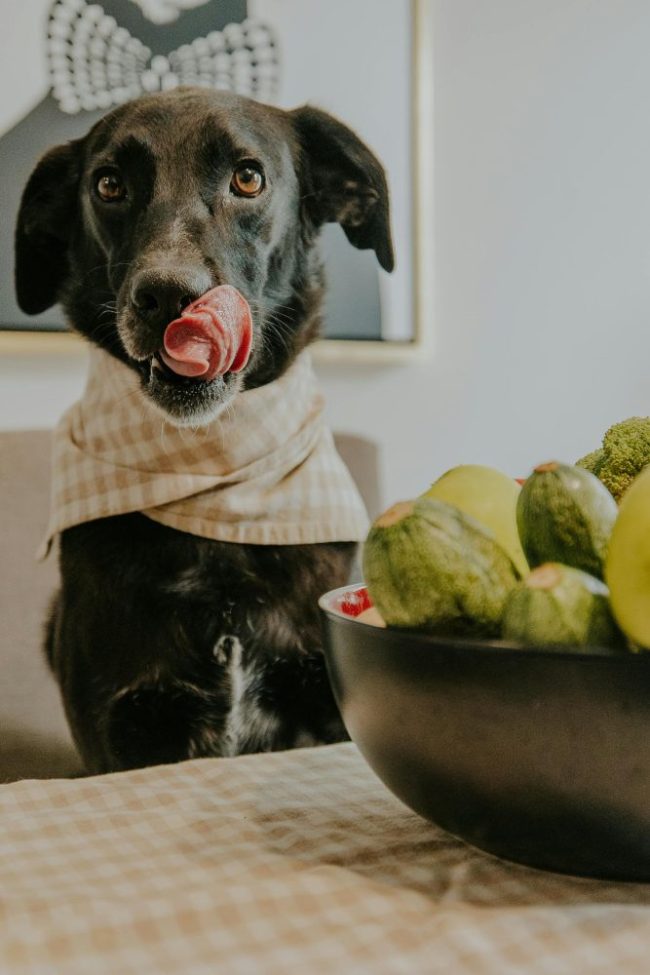 The Human Grade Pet Food Boom Taking Over Traditional Grocery Aisles