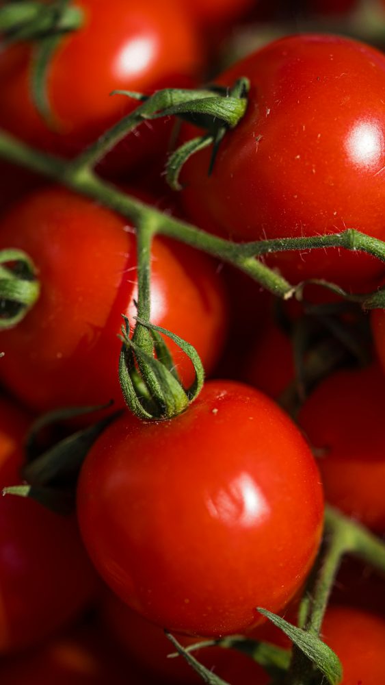 Why Fresh Tomato Prices Are Spiking at the Supermaarket Right Now