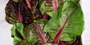 8 Foods Nutritionists Say Are Losing Freshness Faster This Year