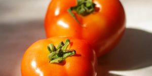 The Tomato Trap: Why Fresh Produce Prices Are Rising as Import Costs and Weather Squeeze Supply